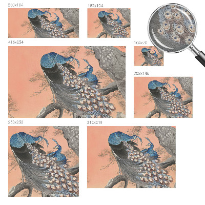 Fotobehang naadloos Pauwenelegantie