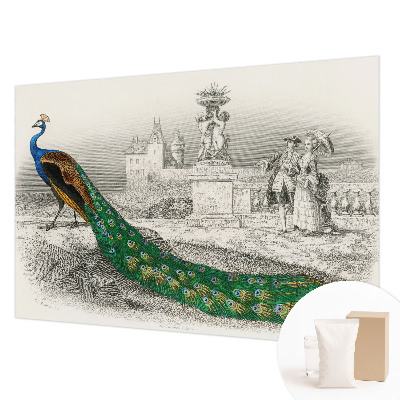 Naadloos fotobehang Kleurrijke veren