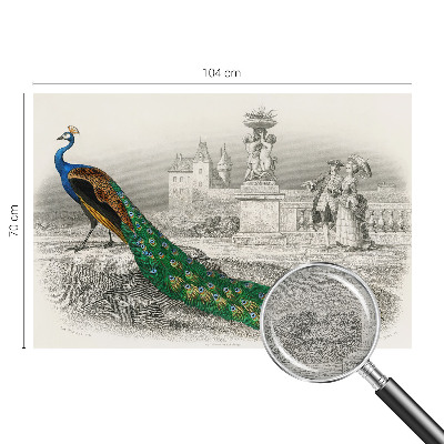 Naadloos fotobehang Kleurrijke veren