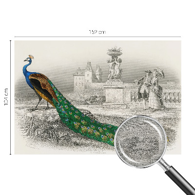 Naadloos fotobehang Kleurrijke veren