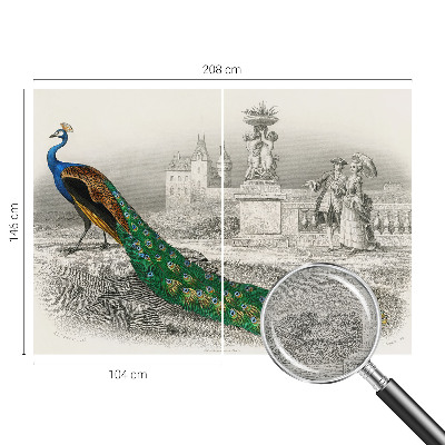 Naadloos fotobehang Kleurrijke veren