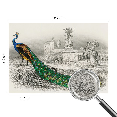 Naadloos fotobehang Kleurrijke veren