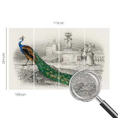 Naadloos fotobehang Kleurrijke veren