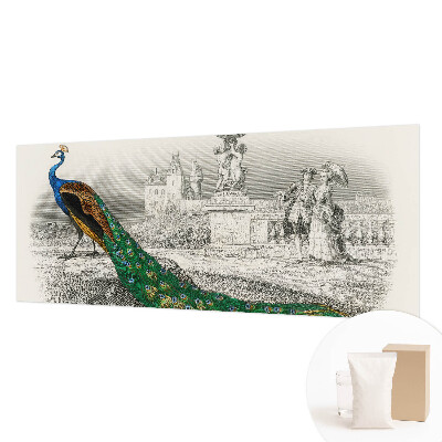 Naadloos fotobehang Kleurrijke veren