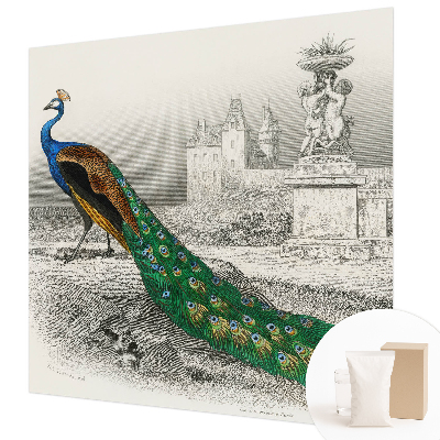 Naadloos fotobehang Kleurrijke veren