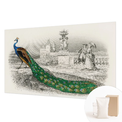 Naadloos fotobehang Kleurrijke veren