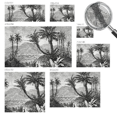 Fotobehang voor slaapkamer Tropische oase