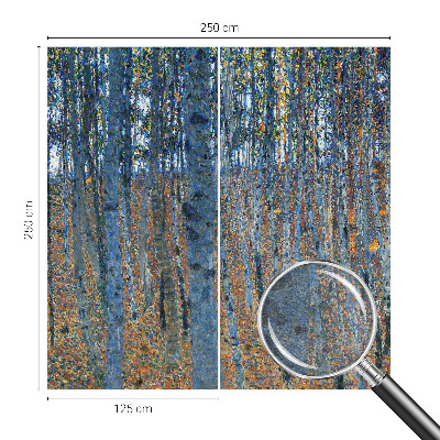 Modern fotobehang voor de woonkamer Berkenbos