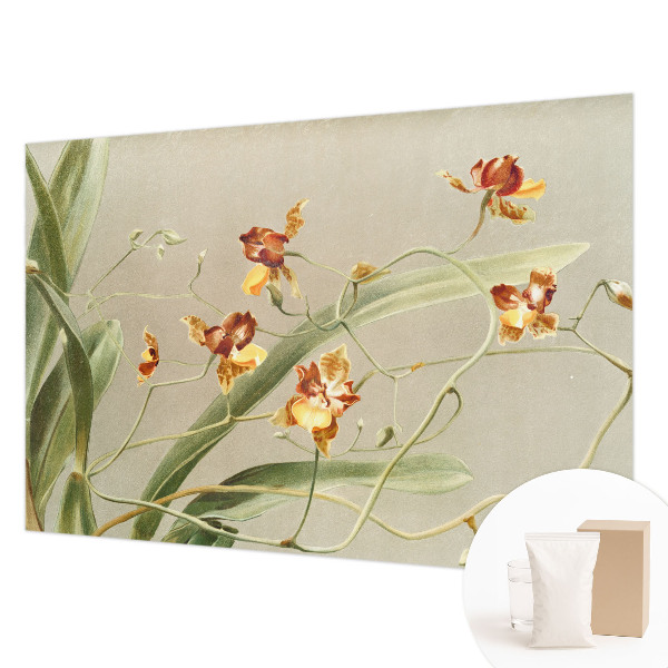 Vlies fotobehang op maat met een klassiek orchideeënmotief