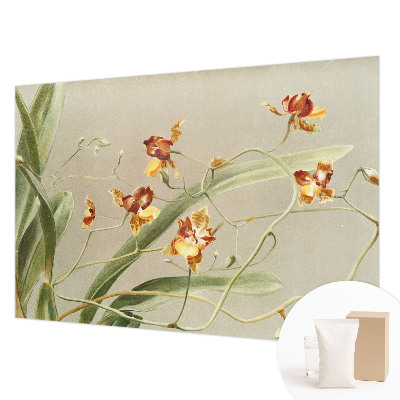 Vlies fotobehang op maat met een klassiek orchideeënmotief