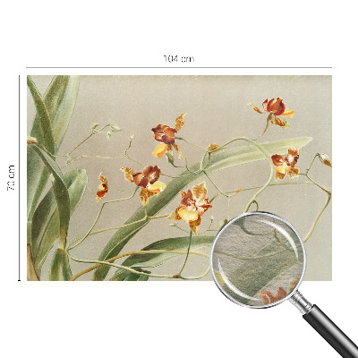 Vlies fotobehang op maat met een klassiek orchideeënmotief