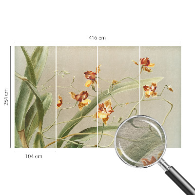 Vlies fotobehang op maat met een klassiek orchideeënmotief