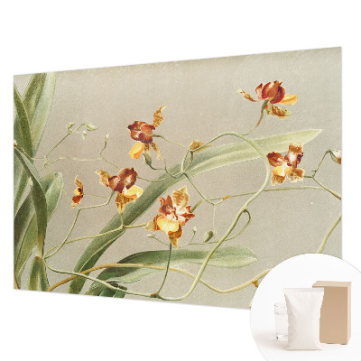 Vlies fotobehang op maat Klassieke orchideeën