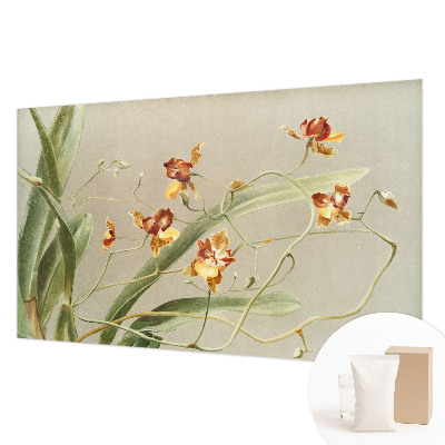 Vlies fotobehang op maat met een klassiek orchideeënmotief