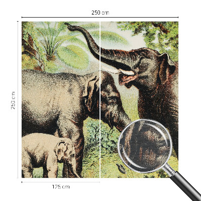 Vliesbehang fotobehang woonkamer Familieolifanten