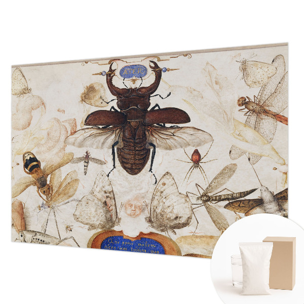 Naadloos fotobehang Natuurlijke harmonie