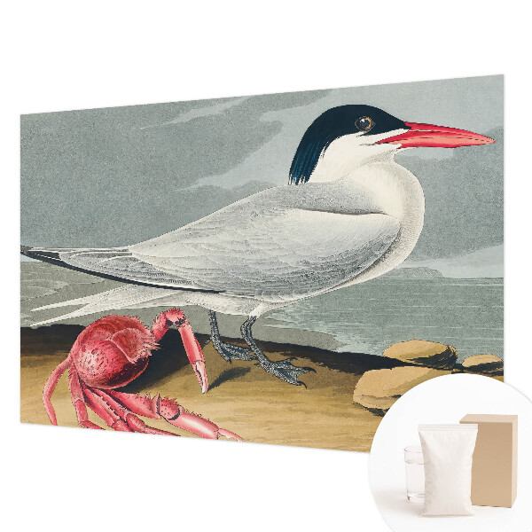 Modern fotobehang voor de woonkamer met een zeegezicht
