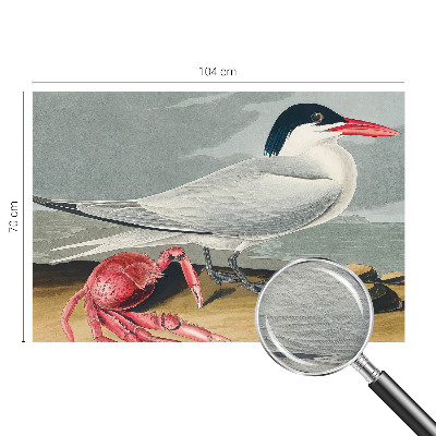 Modern fotobehang voor de woonkamer Zeegezicht