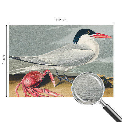 Modern fotobehang voor de woonkamer Zeegezicht