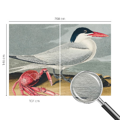 Modern fotobehang voor de woonkamer Zeegezicht