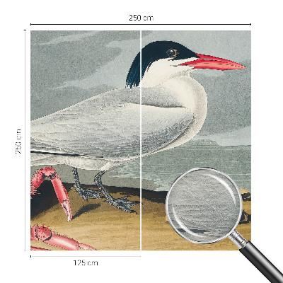 Modern fotobehang voor de woonkamer Zeegezicht