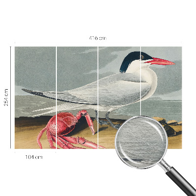 Modern fotobehang voor de woonkamer Zeegezicht