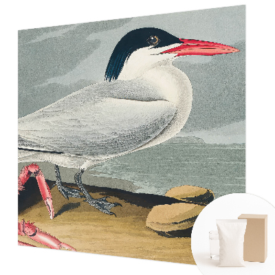 Modern fotobehang voor de woonkamer Zeegezicht