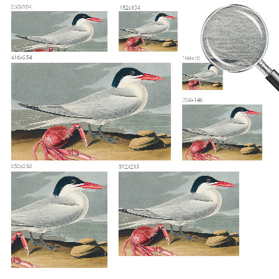 Modern fotobehang voor de woonkamer Zeegezicht