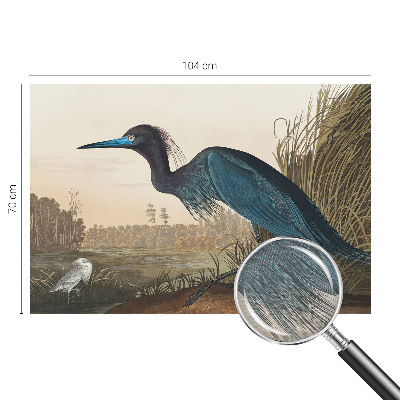 Foto behang op maat Watervogels