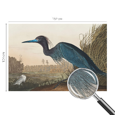 Foto behang op maat Watervogels