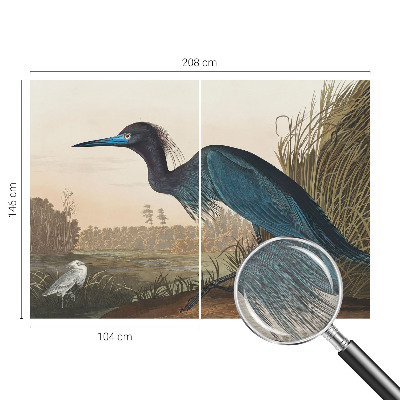 Foto behang op maat Watervogels