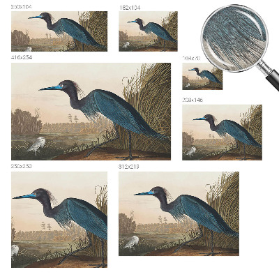 Foto behang op maat Watervogels