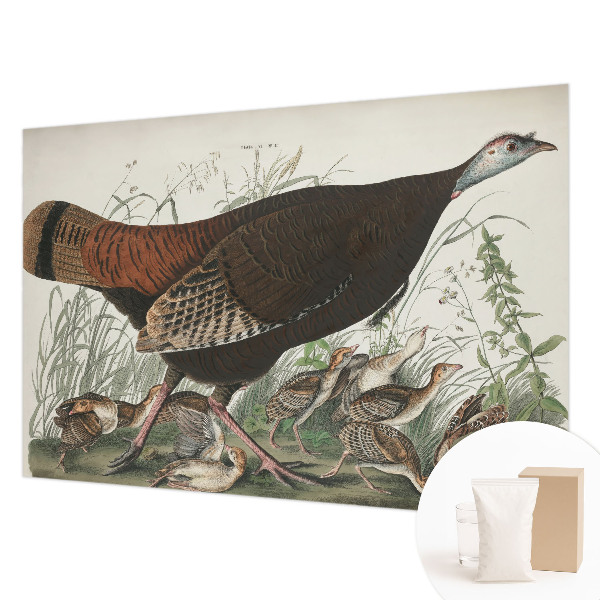 Modern fotobehang Natuurlijke harmonie