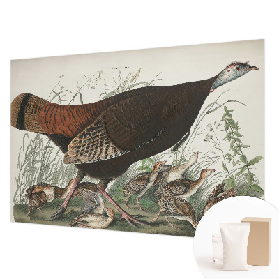 Modern fotobehang met een natuurlijk harmonisch motief