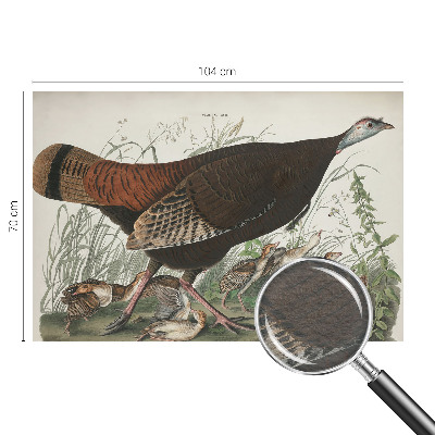 Modern fotobehang Natuurlijke harmonie