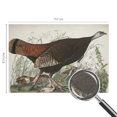 Modern fotobehang Natuurlijke harmonie