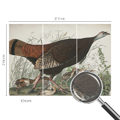 Modern fotobehang Natuurlijke harmonie