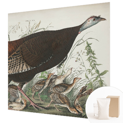 Modern fotobehang met een natuurlijk harmonisch motief