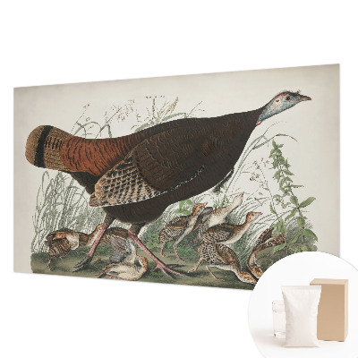 Modern fotobehang met een natuurlijk harmonisch motief