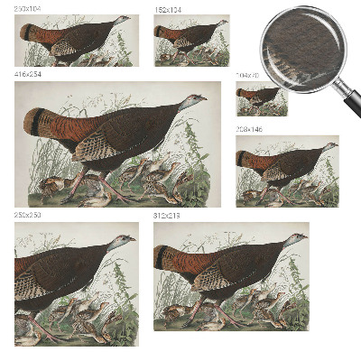 Modern fotobehang Natuurlijke harmonie