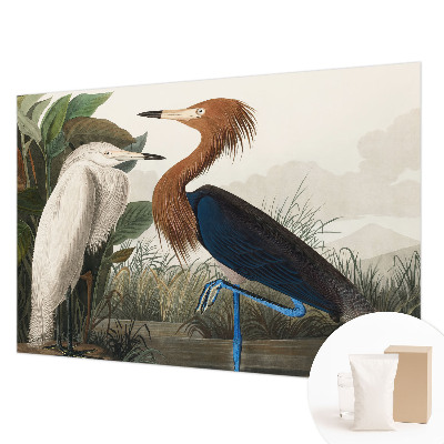 Premium fotobehang met vogels tussen planten