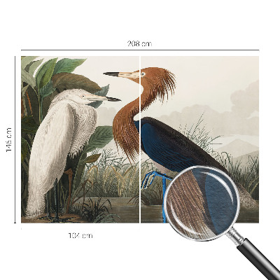 Premium fotobehang met vogels tussen planten