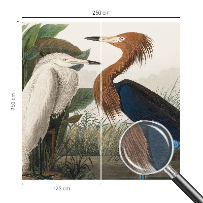 Premium fotobehang met vogels tussen planten