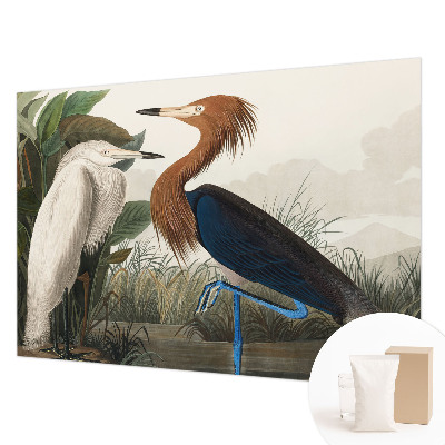 Premium fotobehang met vogels tussen planten