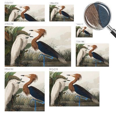 Premium fotobehang met vogels tussen planten