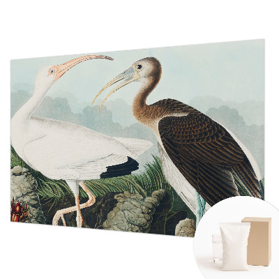 Luxe fotobehang met een vogelpaar als motief