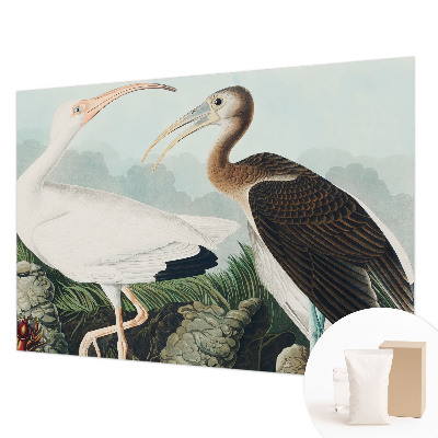 Luxe fotobehang met een vogelpaar als motief