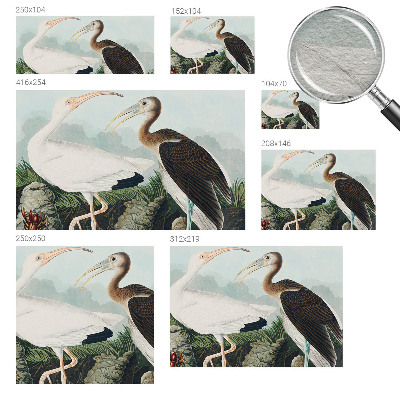 Luxe fotobehang met een vogelpaar als motief