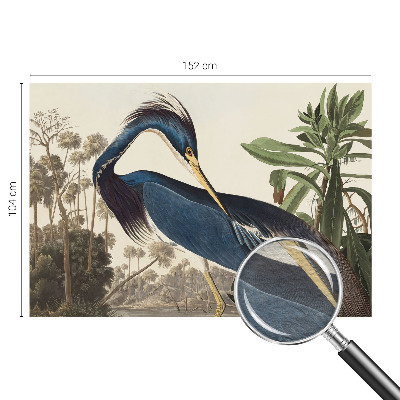 Sfeervol fotobehang Exotische natuur