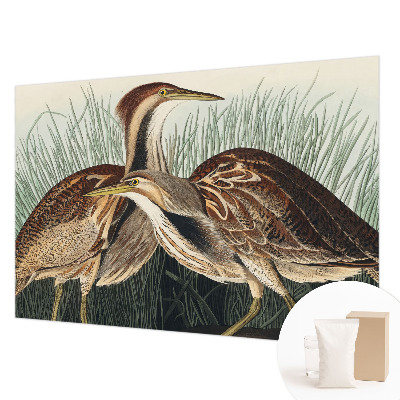 Hoogwaardig fotobehang met een realistische weergave van vogels